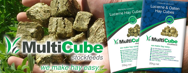 Multicube Hay Cubes