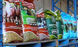 Yarra Glen Stock Feeds