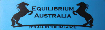 Equilibrium
