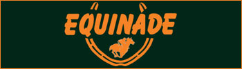 Equinade