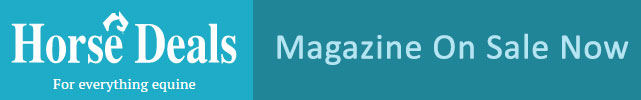 Horse Deals Magazine