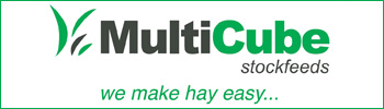 Multicube